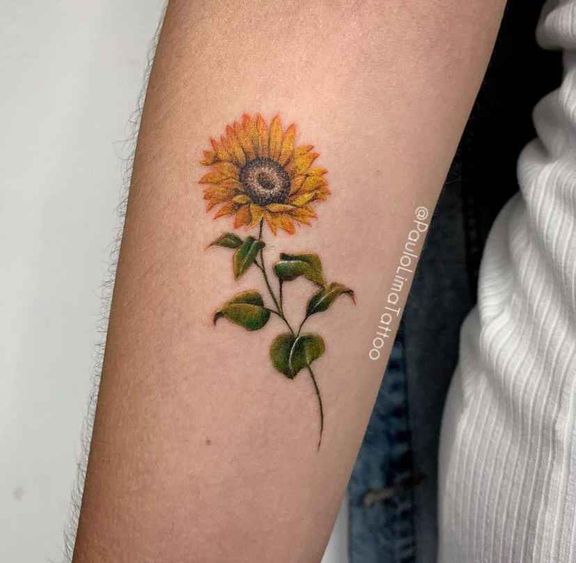 Foto de tatuagem feita por Paulo Lima (@paulolimatattoo)