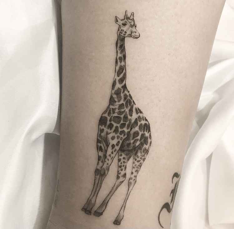 Foto de tatuagem feita por Kathlleen (@_kaa.tattoo)