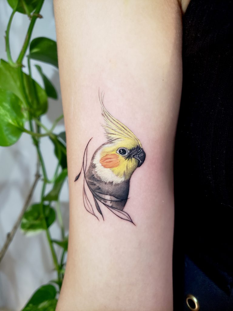 Foto de tatuagem feita por Narizinho